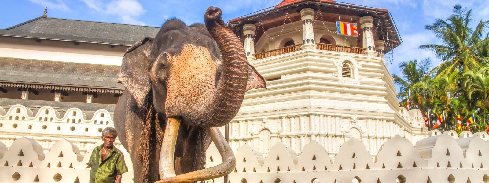 Remains of Nadungamuwa Raja on Display Tomorrow